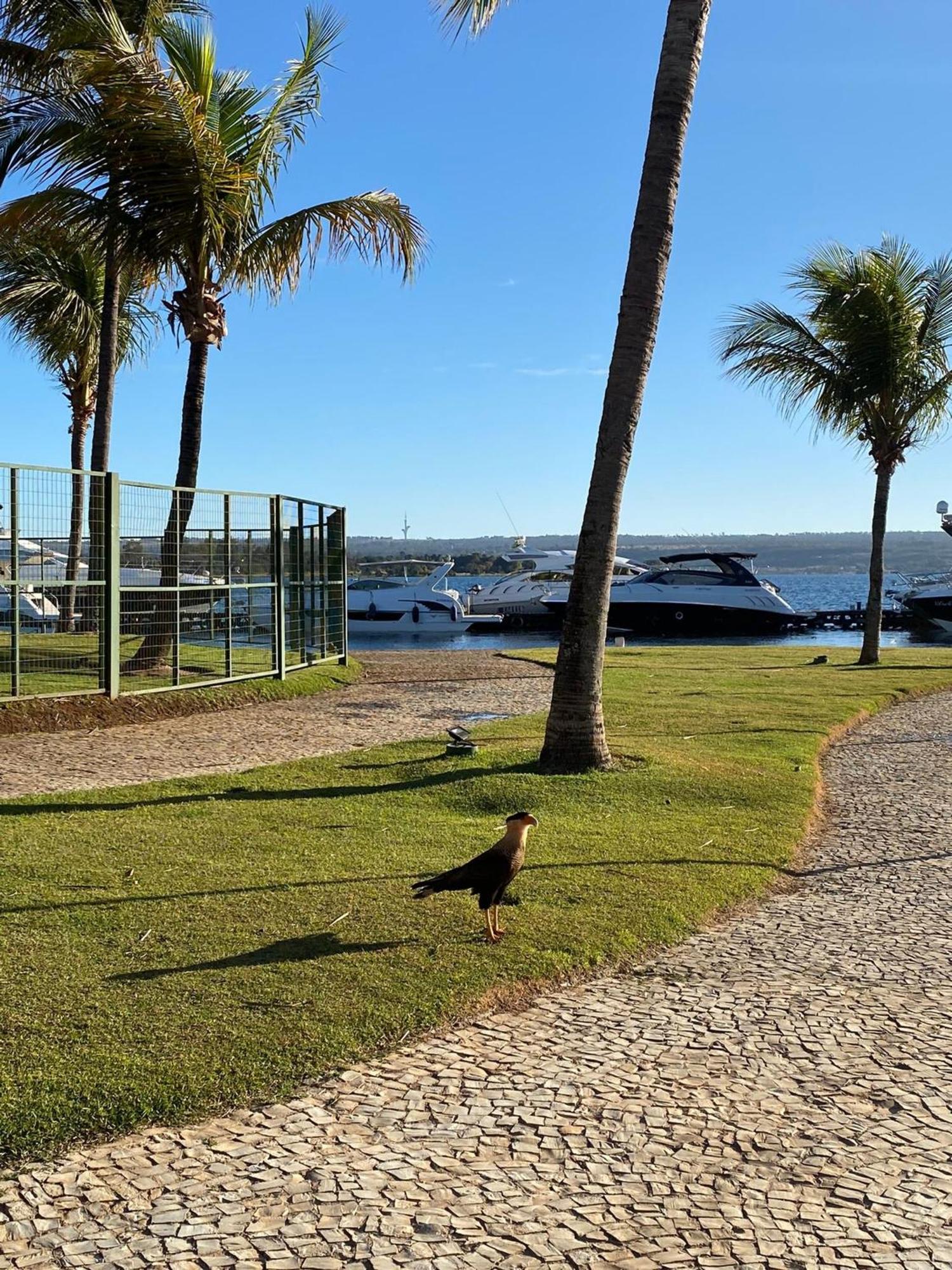 Flat Beira Lago No Centro De Bsb Brasília Exterior foto
